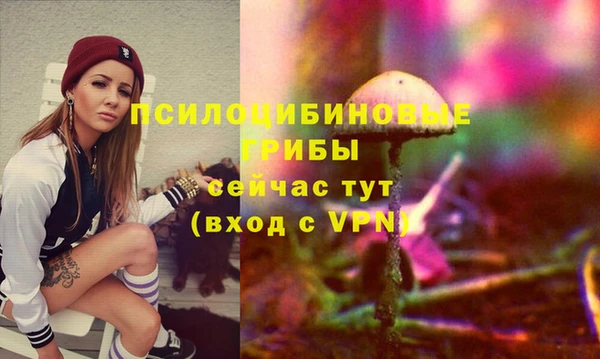 шишки Покровск
