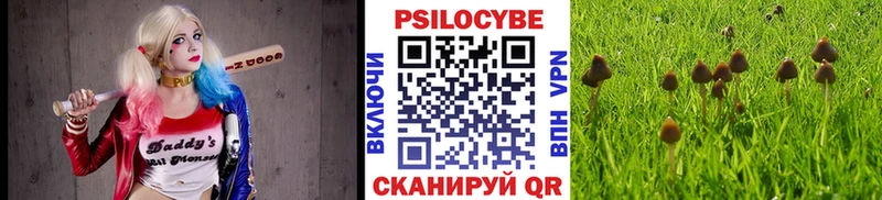 Псилоцибиновые грибы мицелий  Купить  Нижнекамск 
