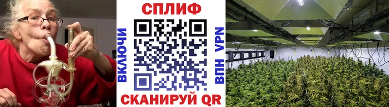 Марихуана план  Купить где  Нижнекамск 